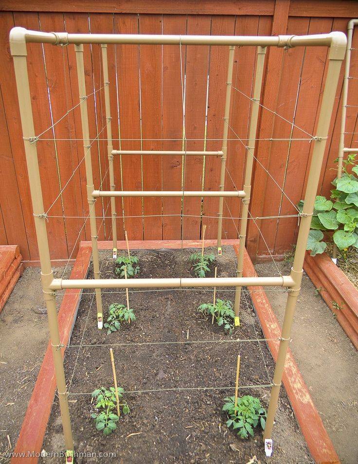 A Raised Bed