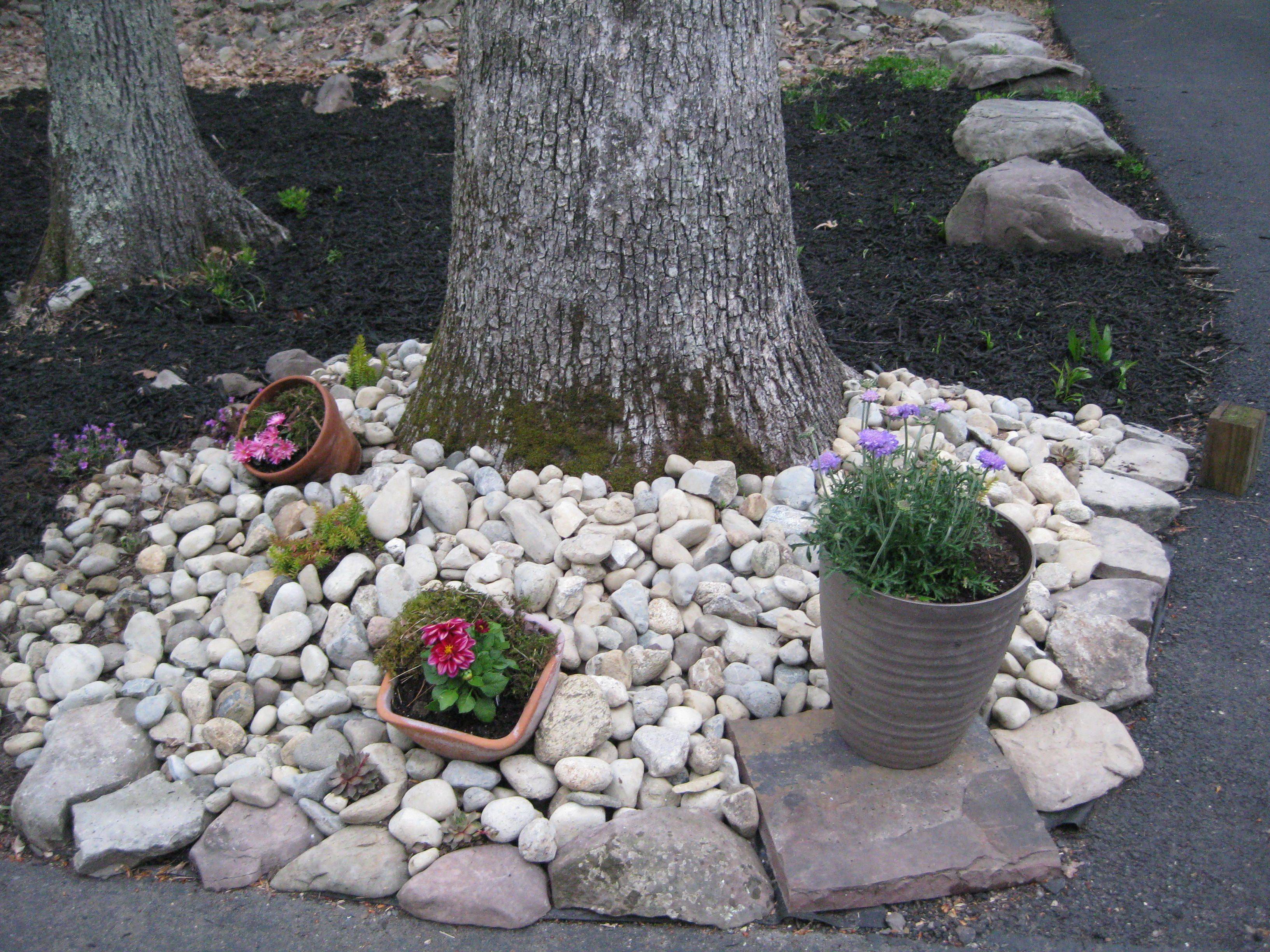 Easy And Simple Rockery