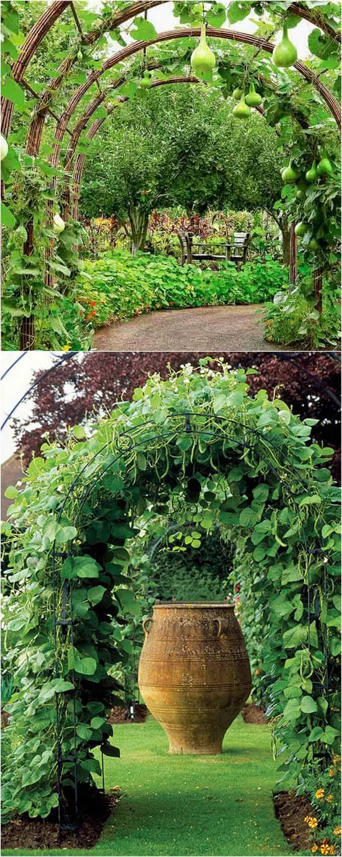 Easy Diy Garden Trellis Ideas