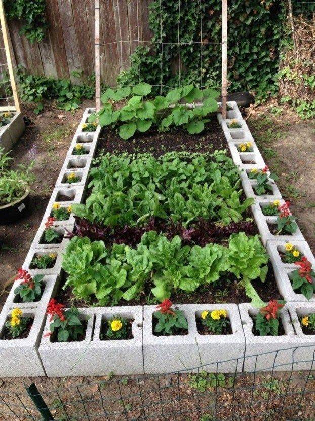 A Raised Bed Garden