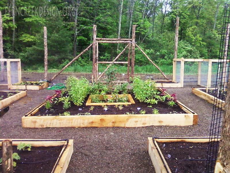 Garden Bed Layout