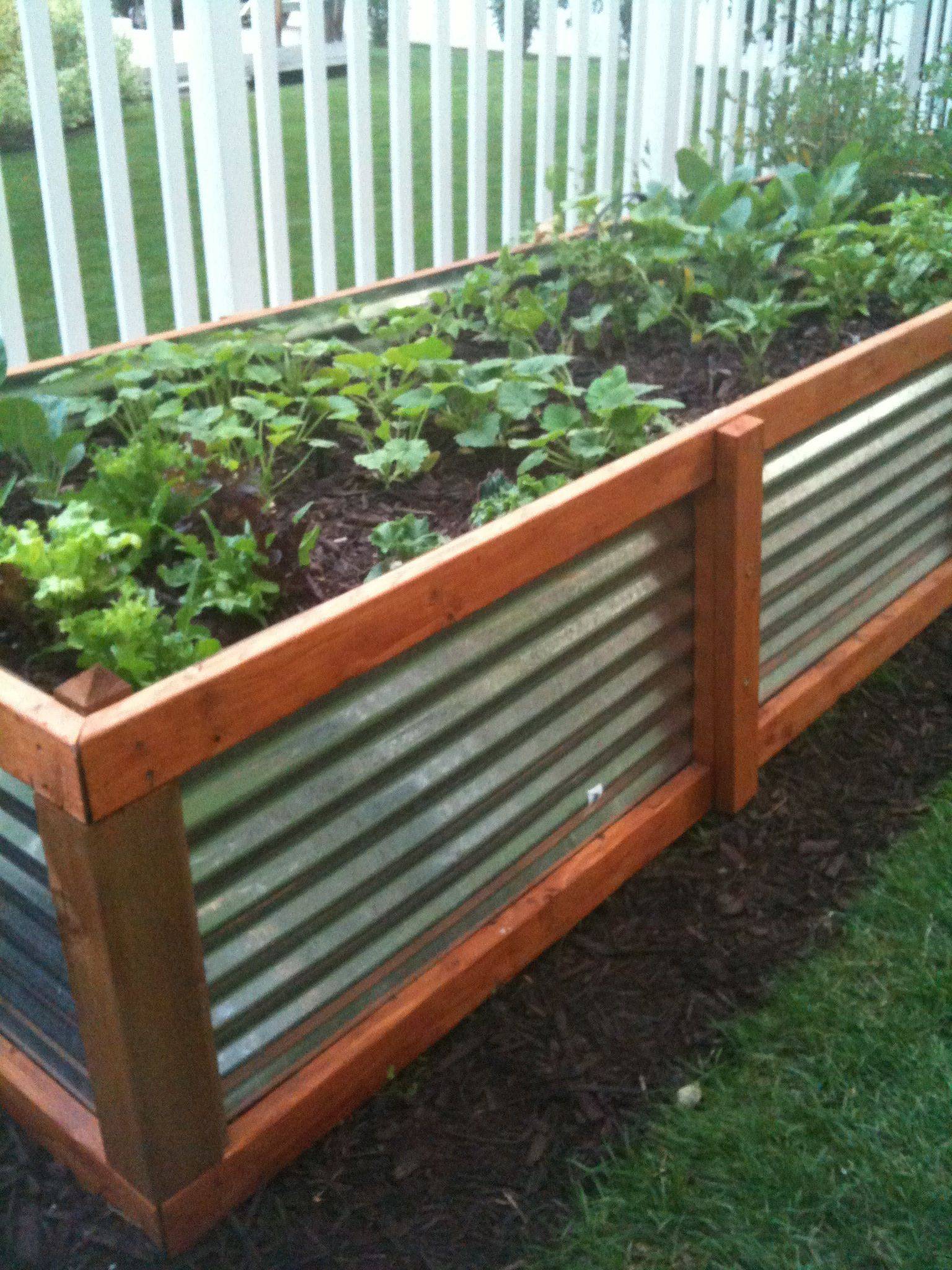 A Raised Garden Bed