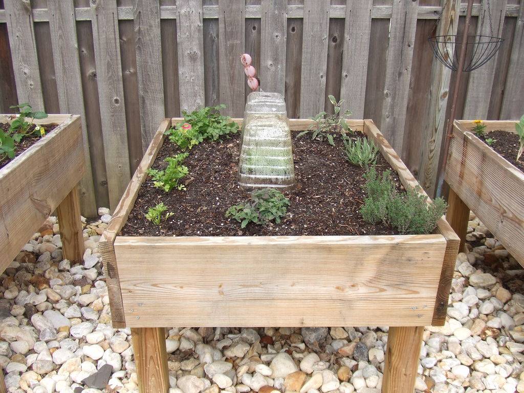 Free Waist High Raised Garden Bed Plans