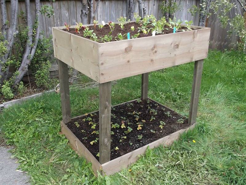 A Standing Raised Garden Bed Home And Garden Designs