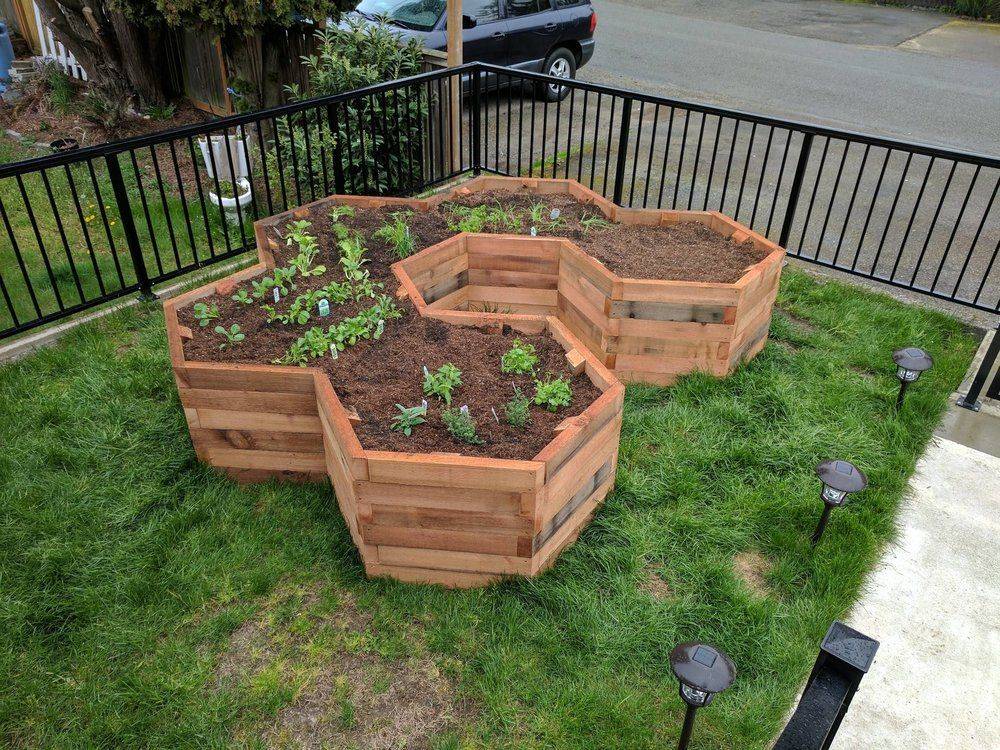 Tanalised Wooden Garden Tree