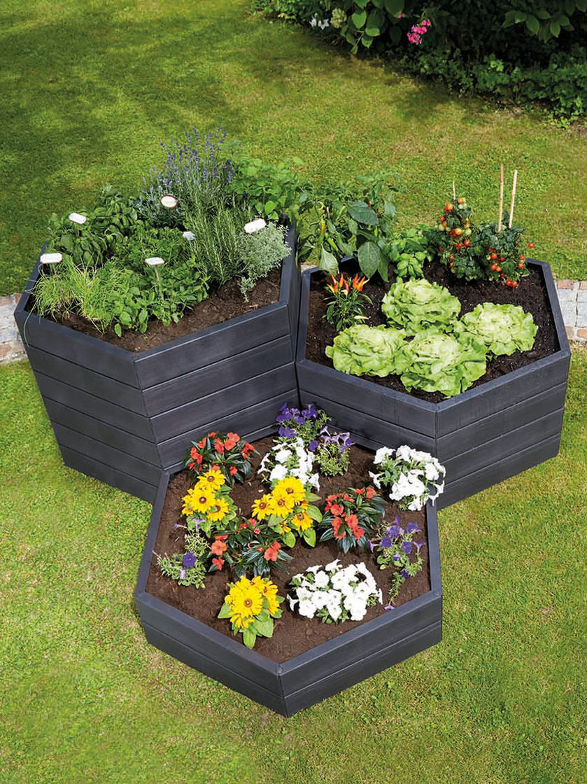 Hexagonal Garden Beds