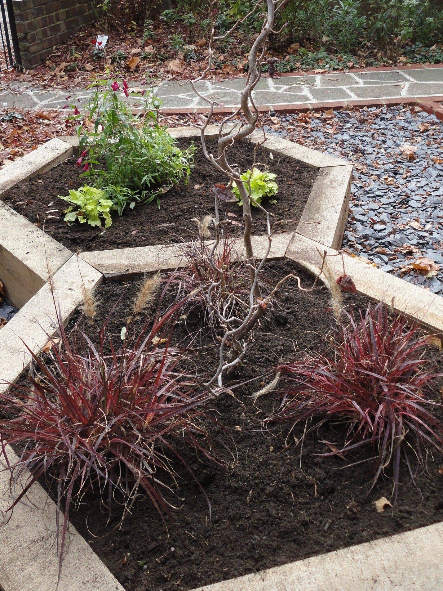 Medium Brown Solid Wood Hexagonal Raised