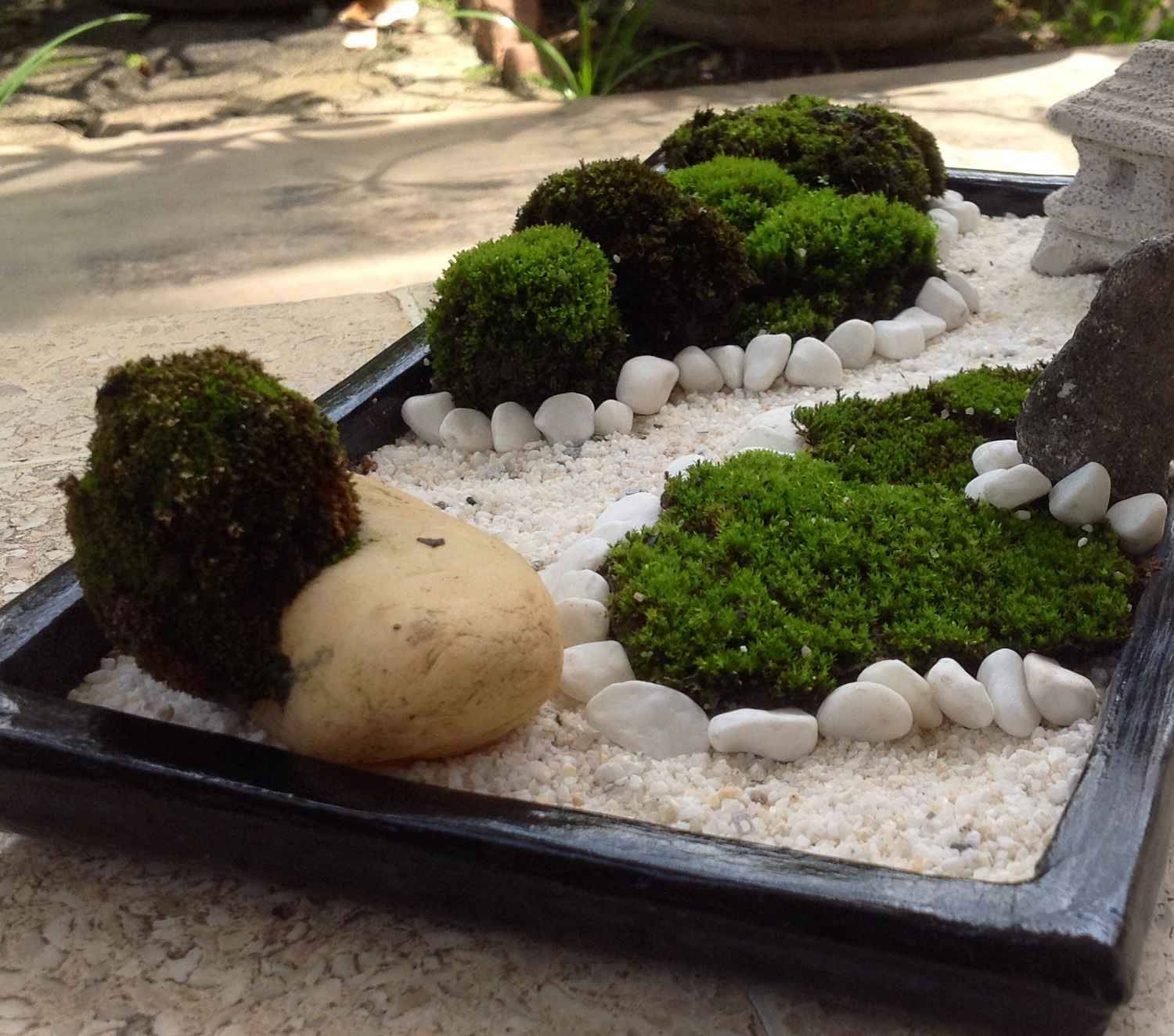 Brilliant Zen Garden Landscape Design