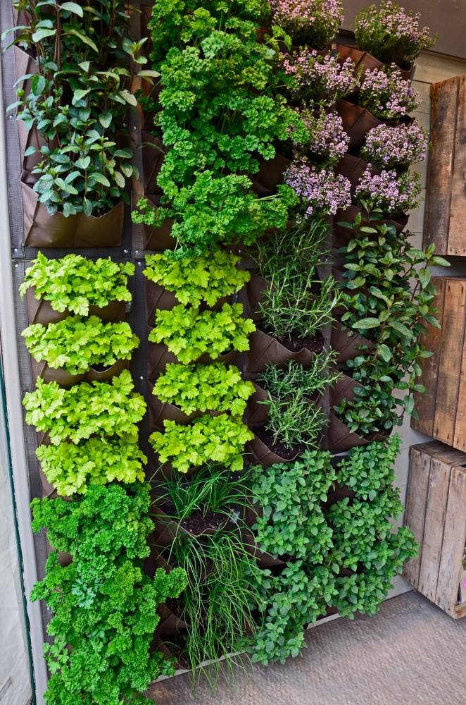 Top Diy Vertical Garden Ideas