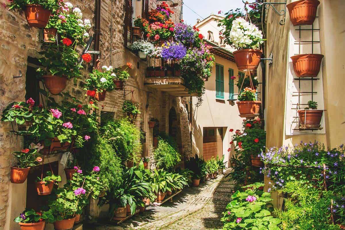 Beautiful French Cottage Garden Design Ideas