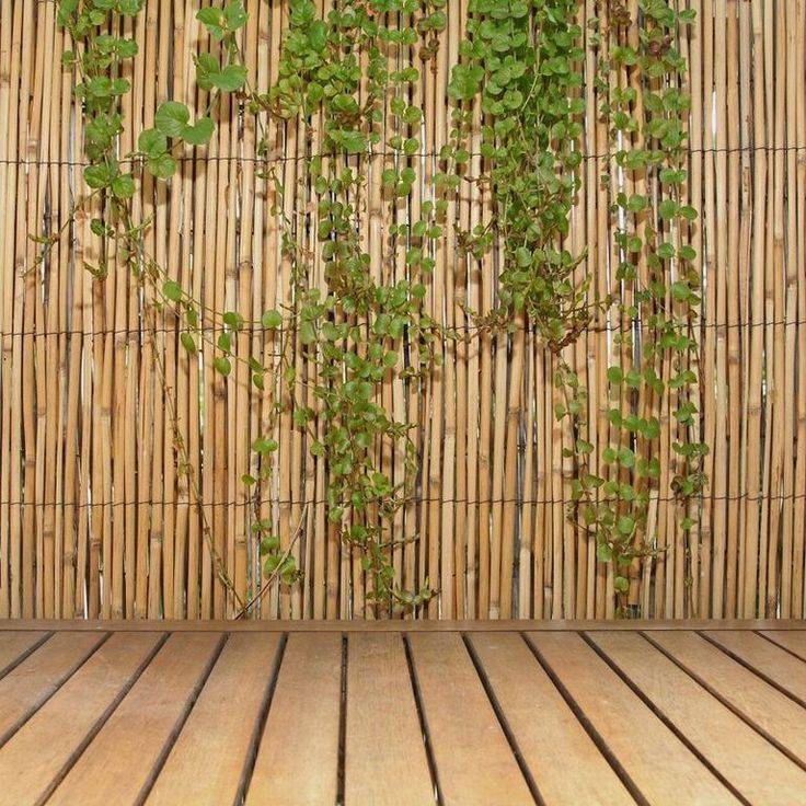 Smart And Stylish Garden Screening Ideas