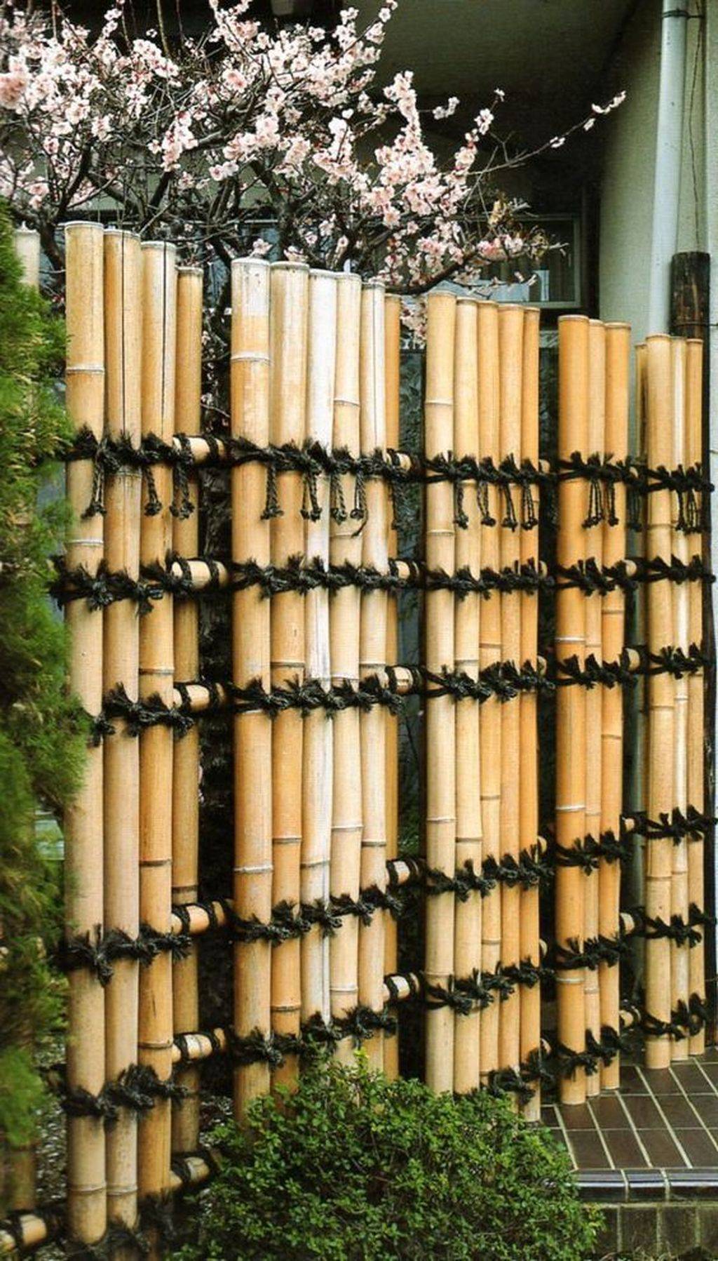 20 Bamboo Garden Wall Ideas You Should Check SharonSable