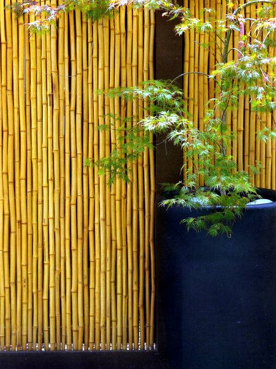 20 Bamboo Garden Wall Ideas You Should Check SharonSable