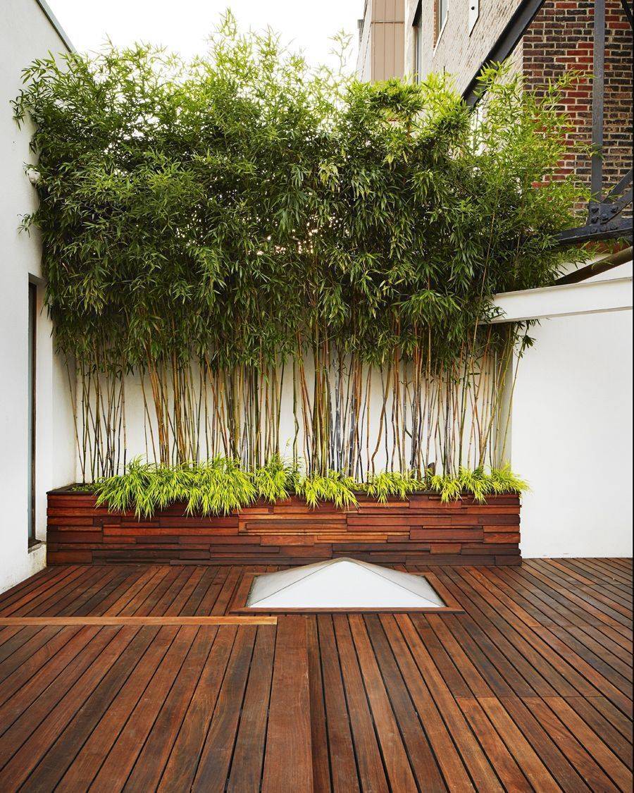 Hdr Modern Garden Landscaping