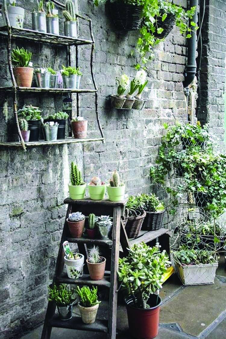 Genius Low Maintenance Rock Garden Design Ideas