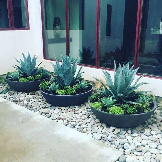 Patio Backyard Sand Landscaping Rock Garden Ideas Design
