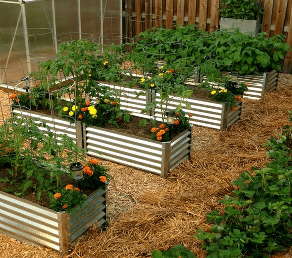 Corrugatedmetalraisedgardenbedsdiyjpg With Images