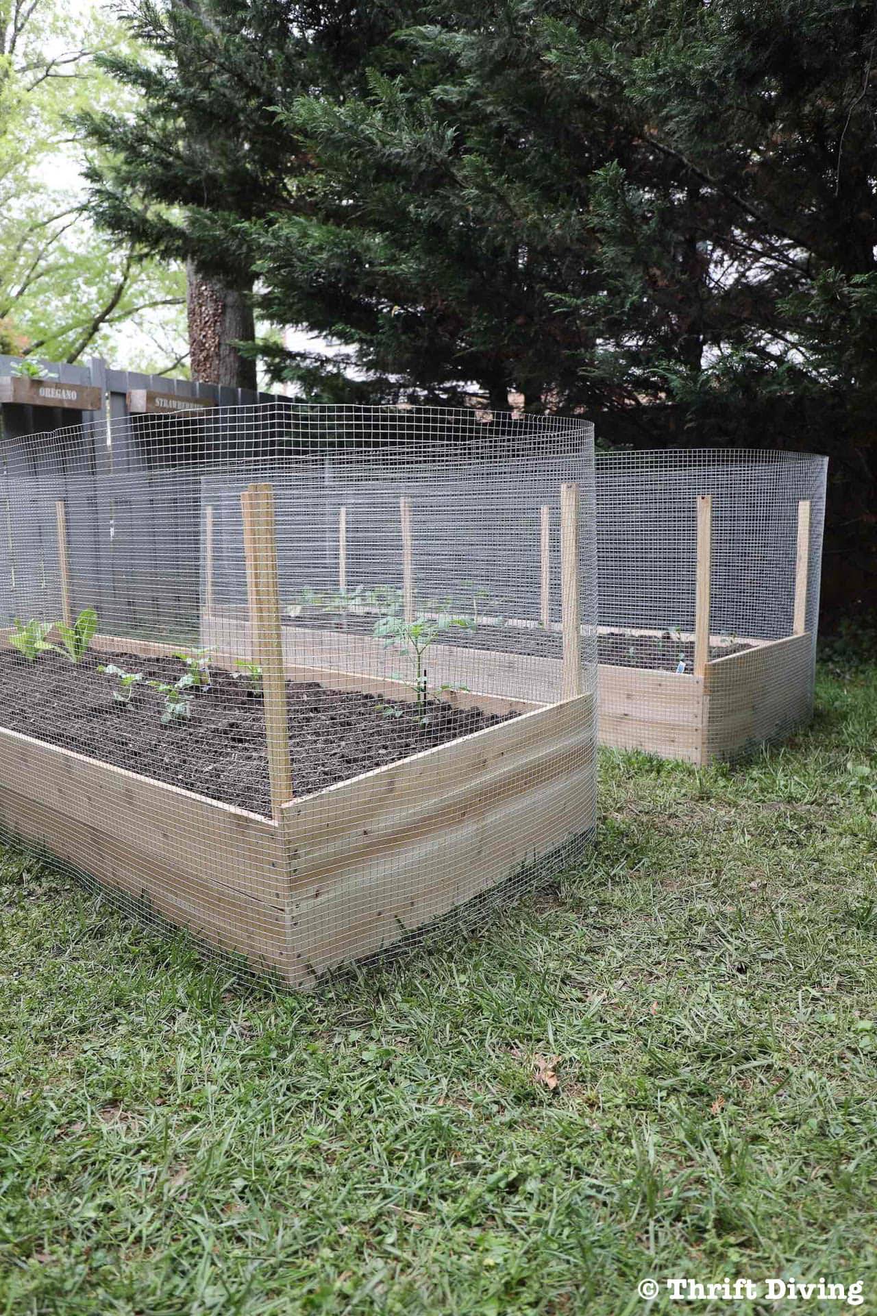 Raised Garden Bed