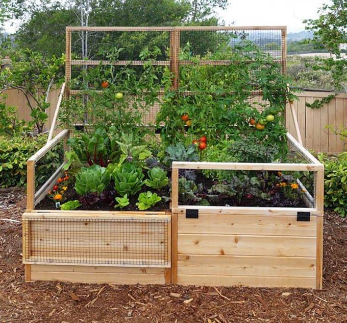 Privacy Fence Backyard