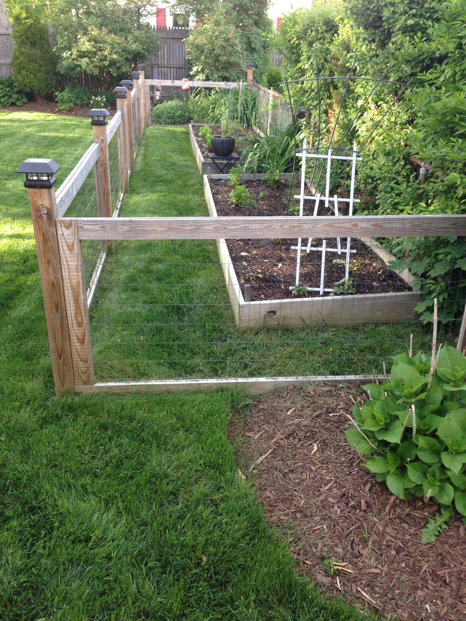 Two Raised Garden Beds