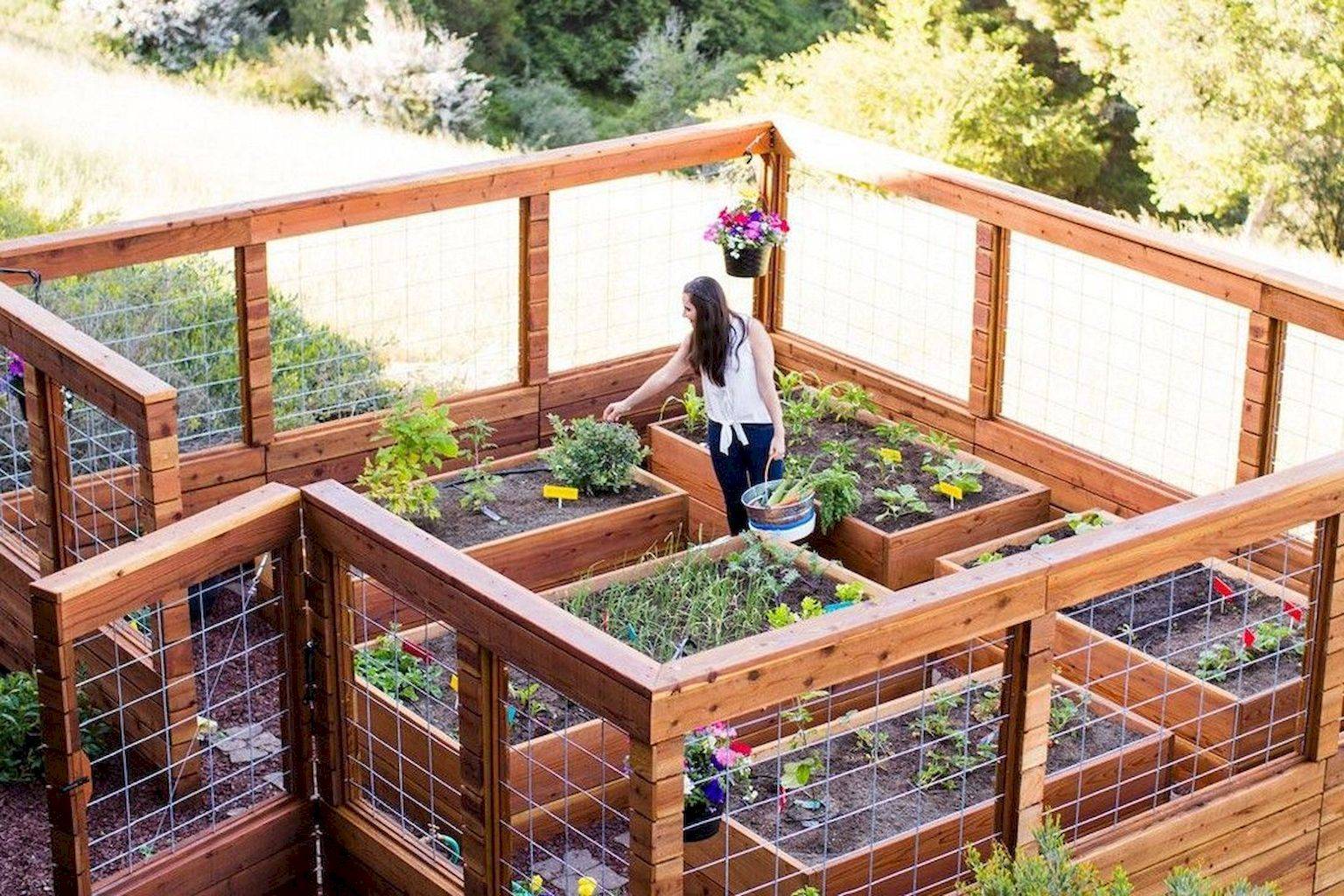 Two Raised Garden Beds