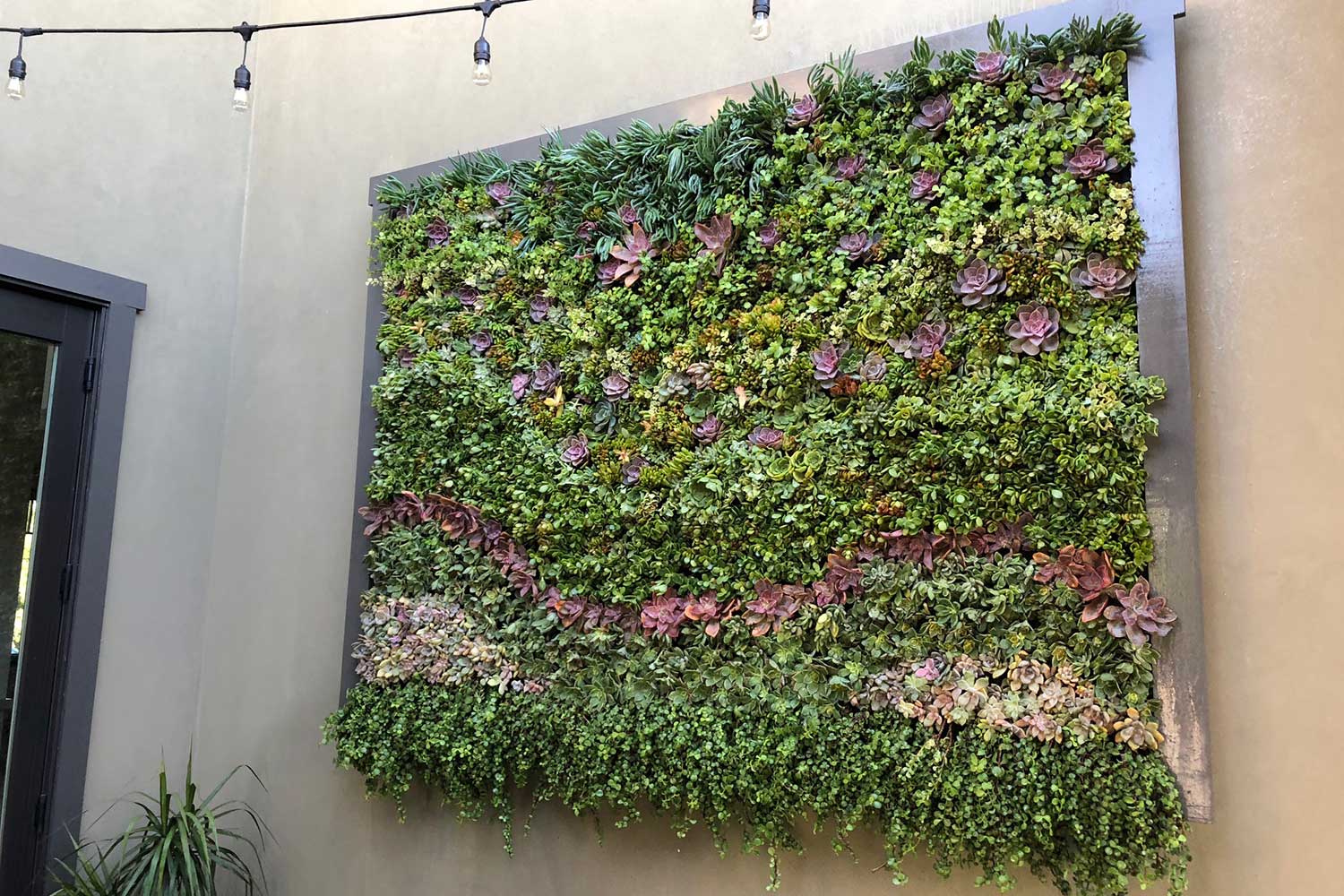 20 Living Wall Garden Ideas To Try This Year SharonSable