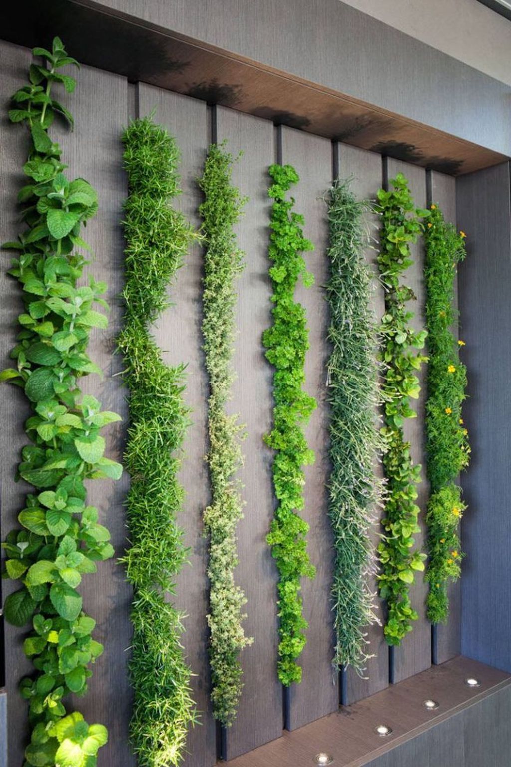 Truevert Vertical Garden Solutions San Diego