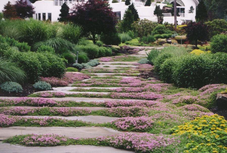 Nice Garden Stepping Stone Design Ideas