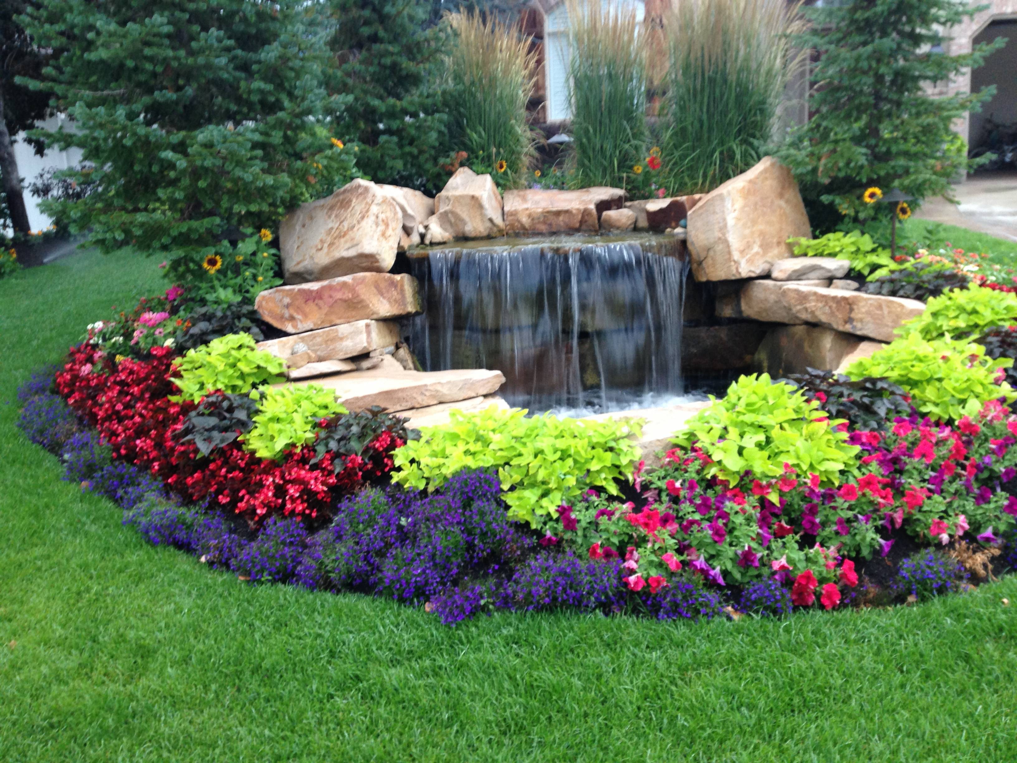 Ground Patio Pond Backyard Summer Small Fish