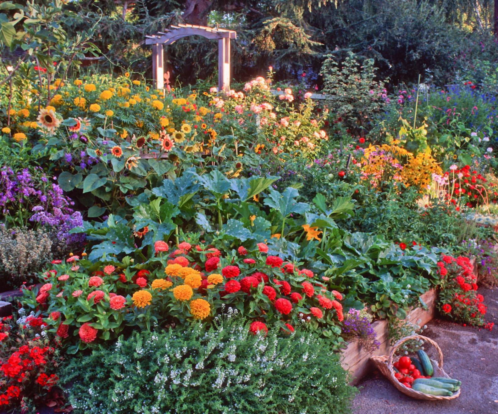 Photo Edible Gardens Top Design Ideas