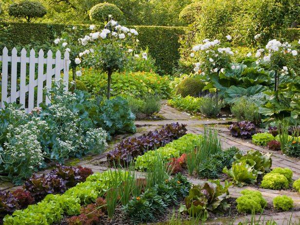 A Beautiful Edible Garden