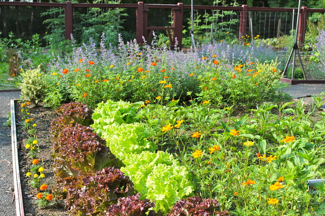 Edible Landscape Ideas Hand