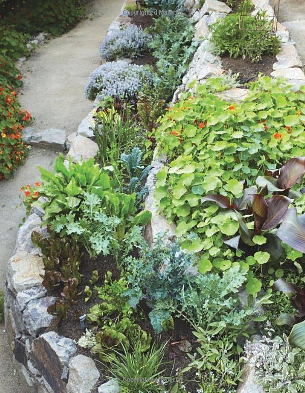 Edible Landscape Ideas Hand