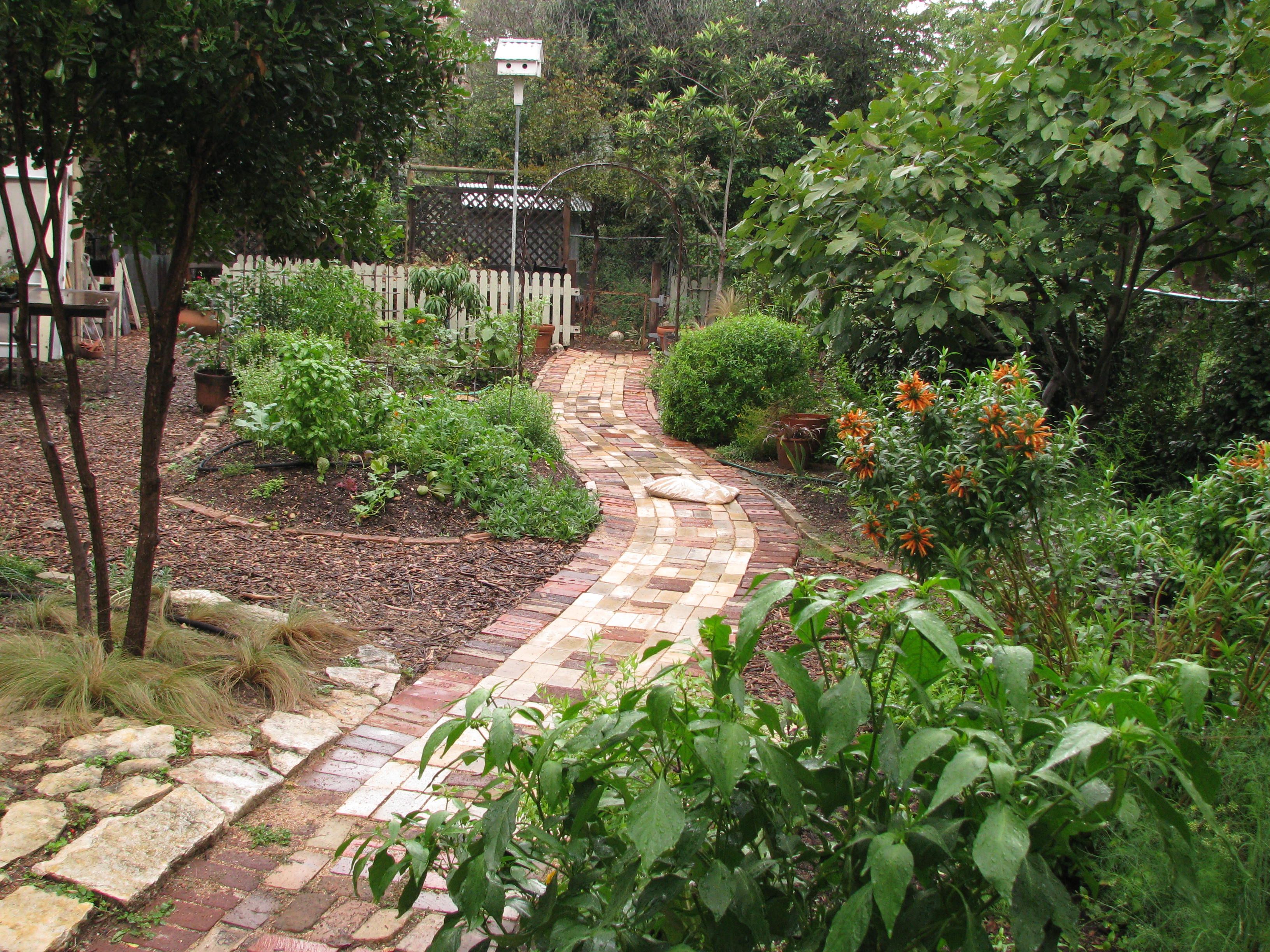 A Beautiful Edible Patio Garden