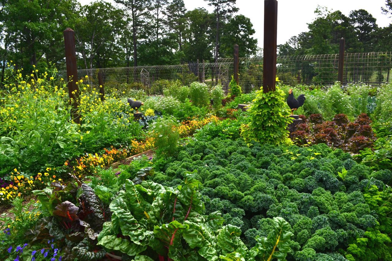 Edible Landscaping