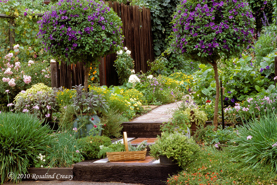 The Beautiful Edible Garden