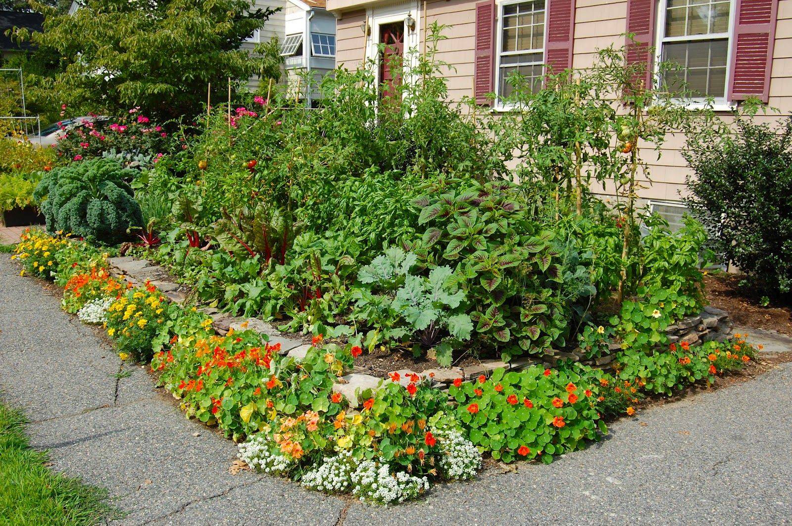 An Edible Front Yard Garden