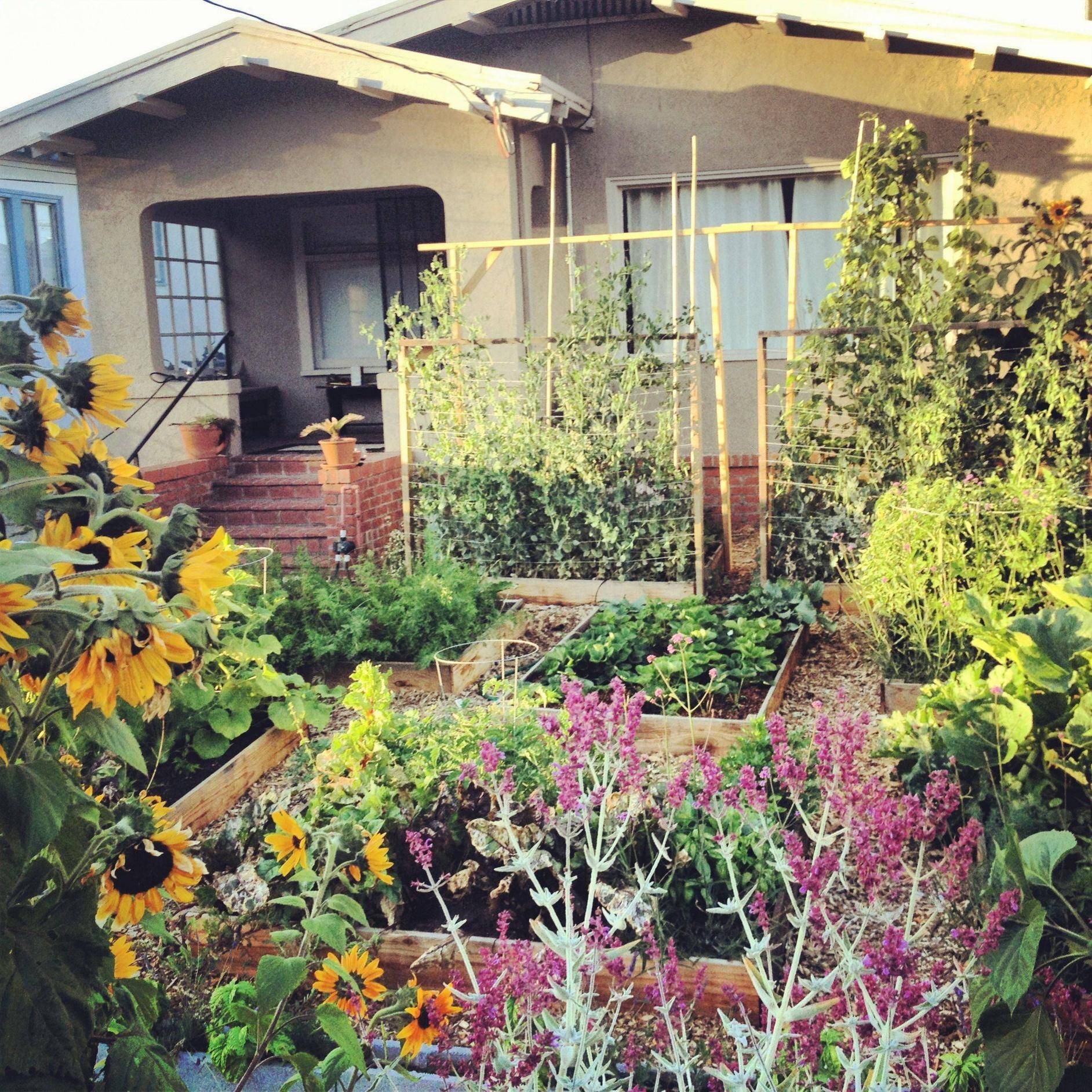 An Edible Front Yard Garden