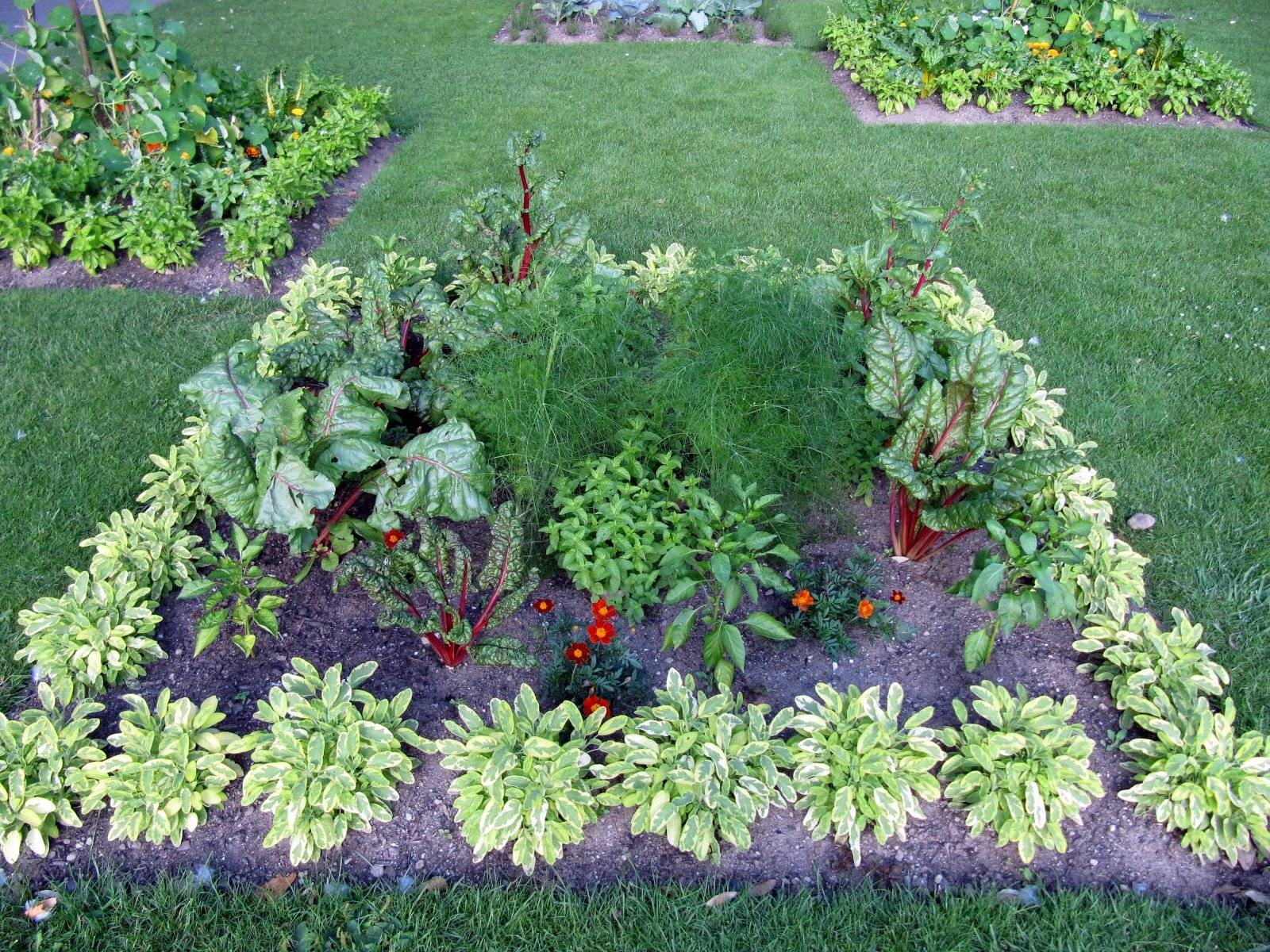 An Edible Front Yard Garden