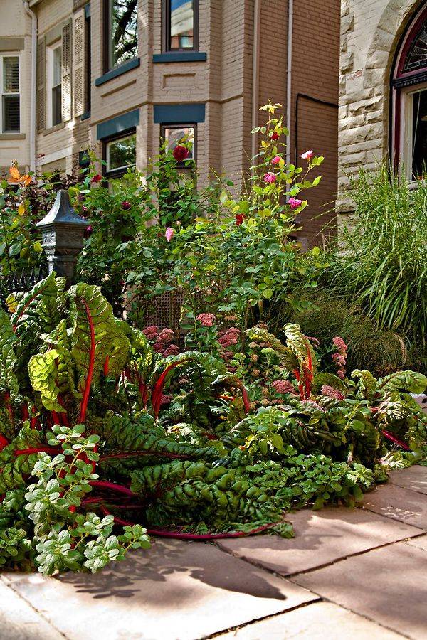 Front Yard Luxury Garden