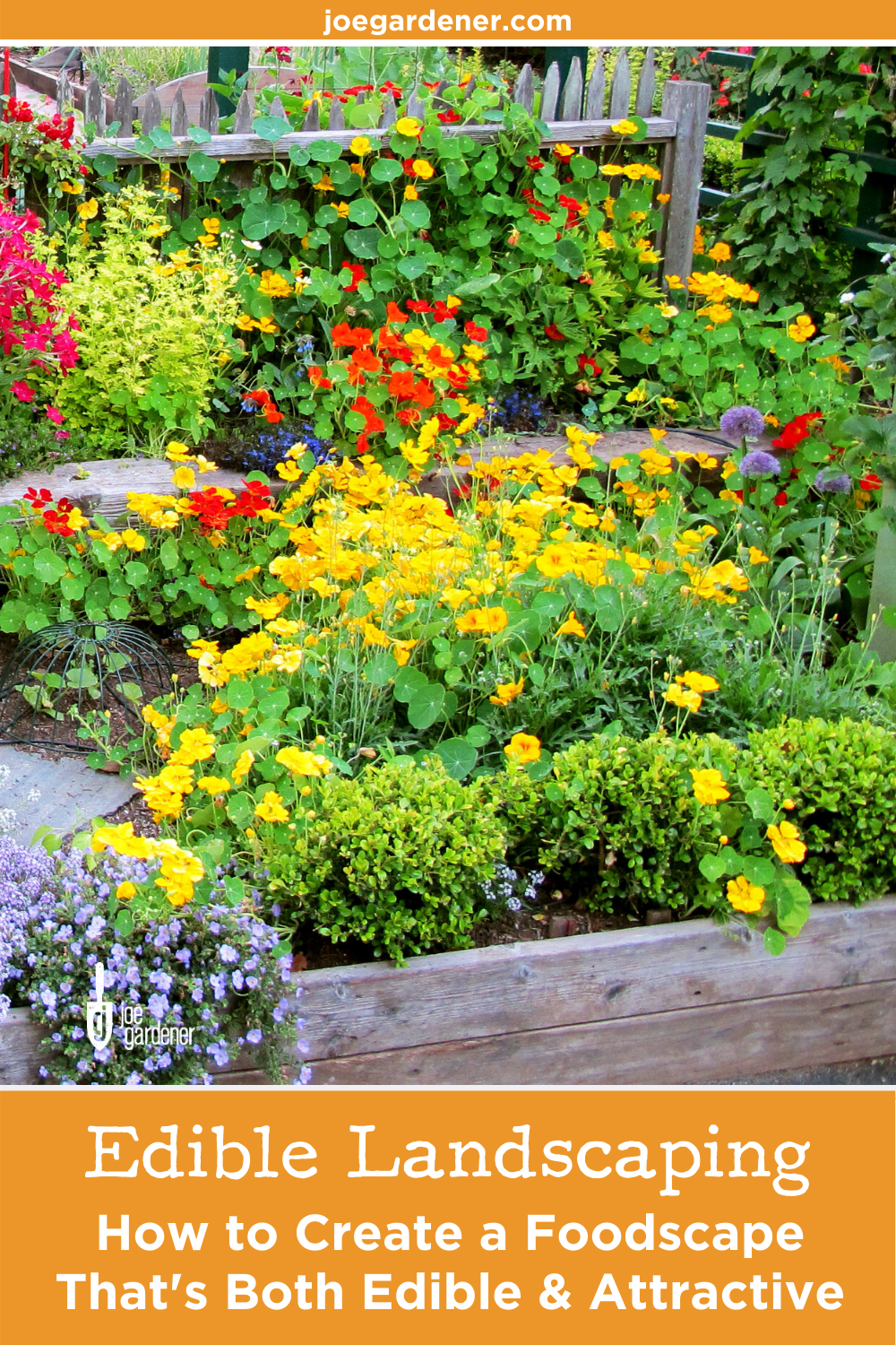 Front Lawn Vegetable Garden How To Design Shawna Coronado