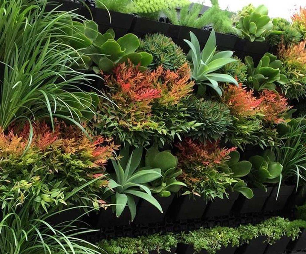Breathtaking Living Wall Designs