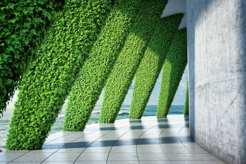 Wall Garden Design