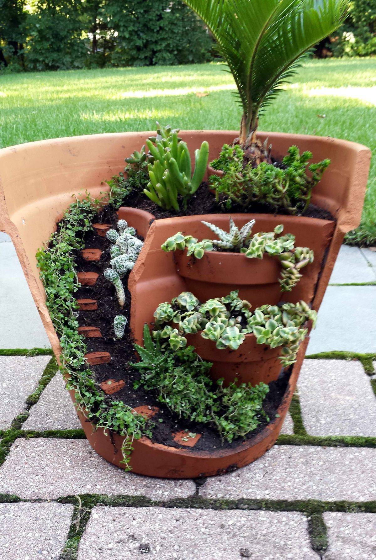 Beautiful Container Garden Ideas