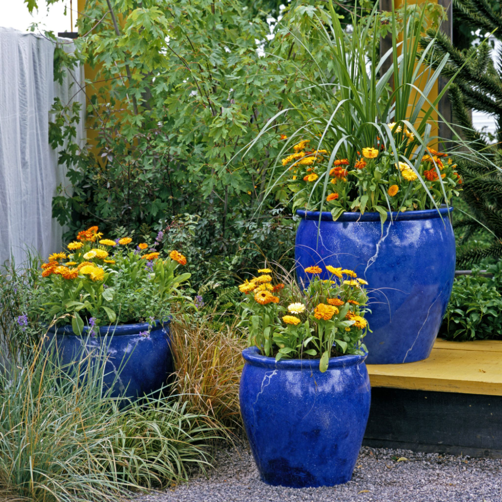 A Patio Flower Container Garden Tips