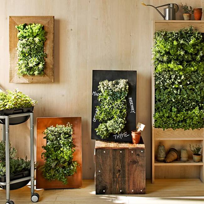 Astonishing Indoor Wall Garden Ideas