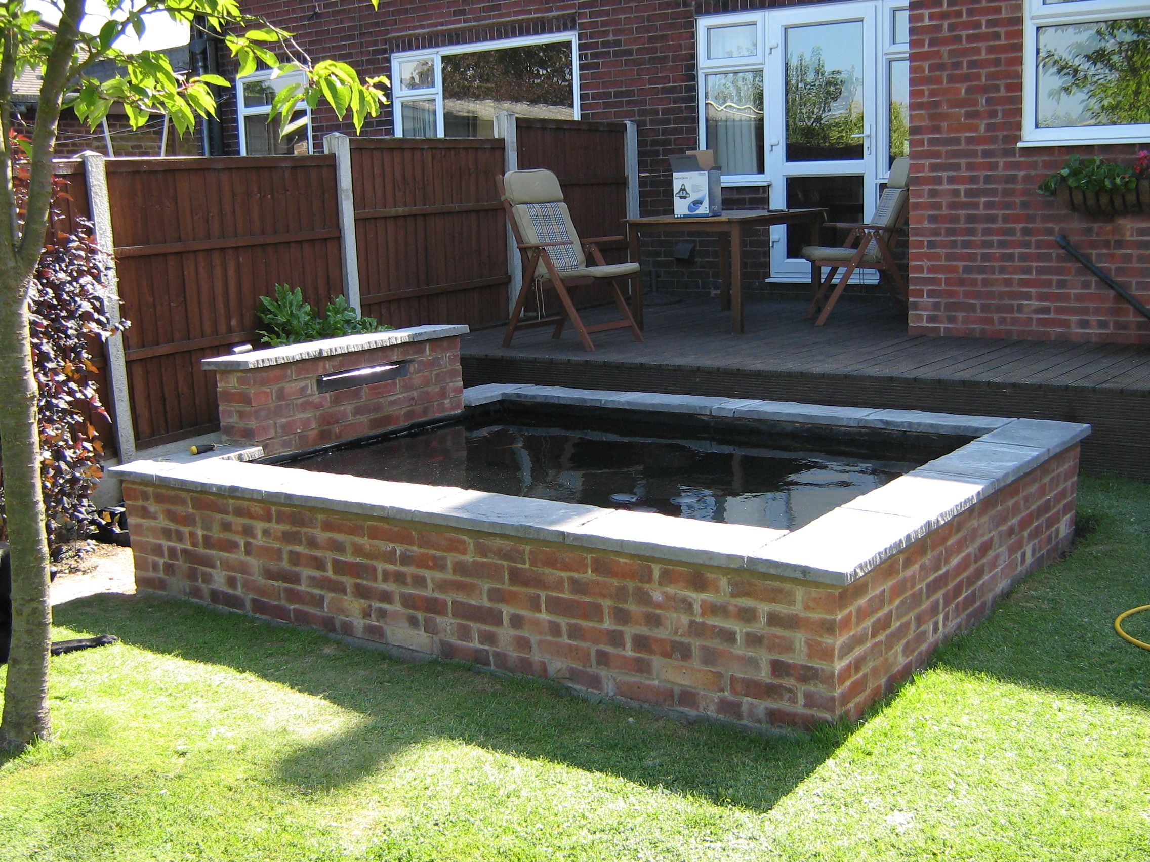 Raised Patio Pond Fish