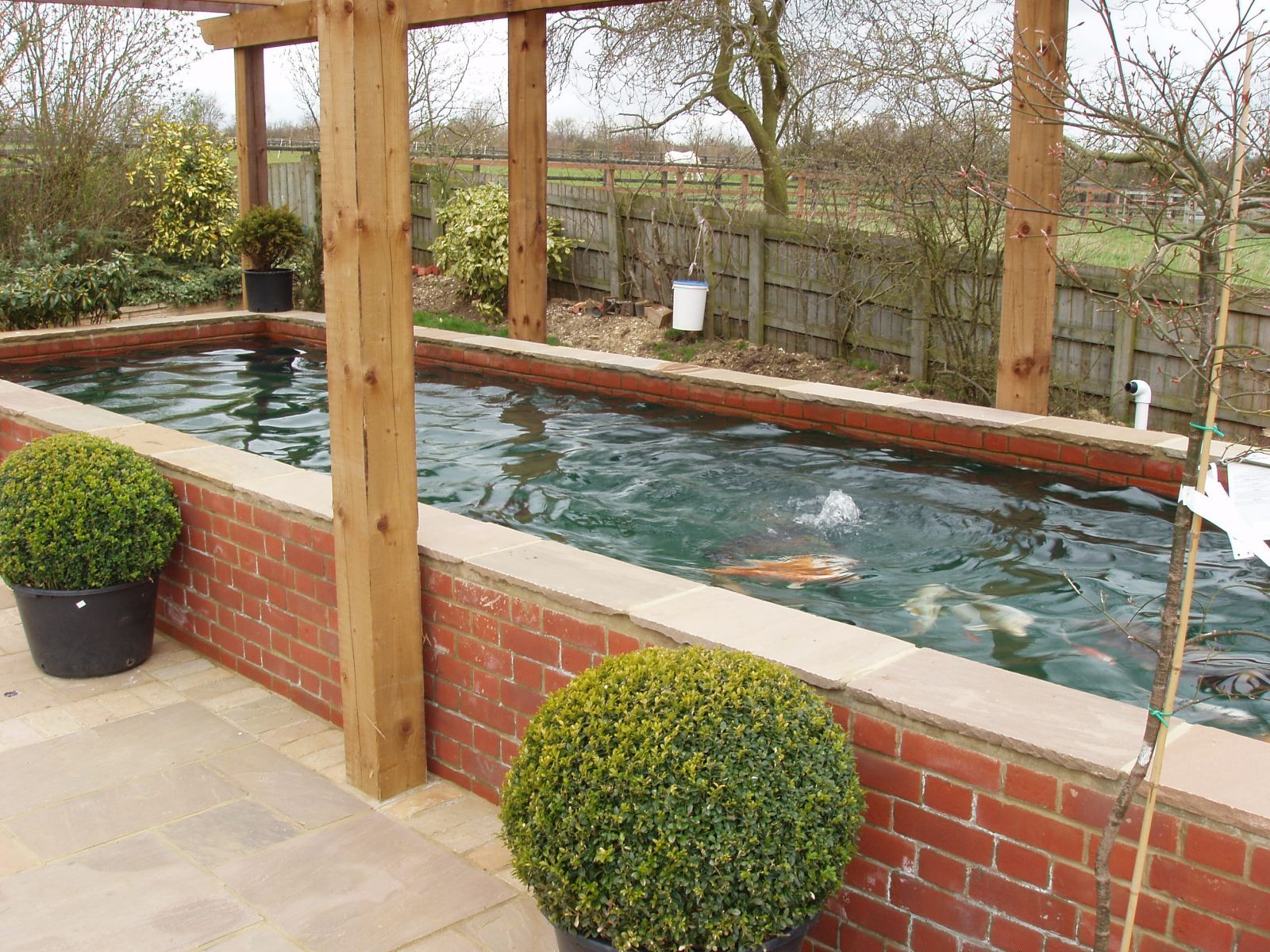 Woodblocx Koi Pond Wwwwoodblocxcouk