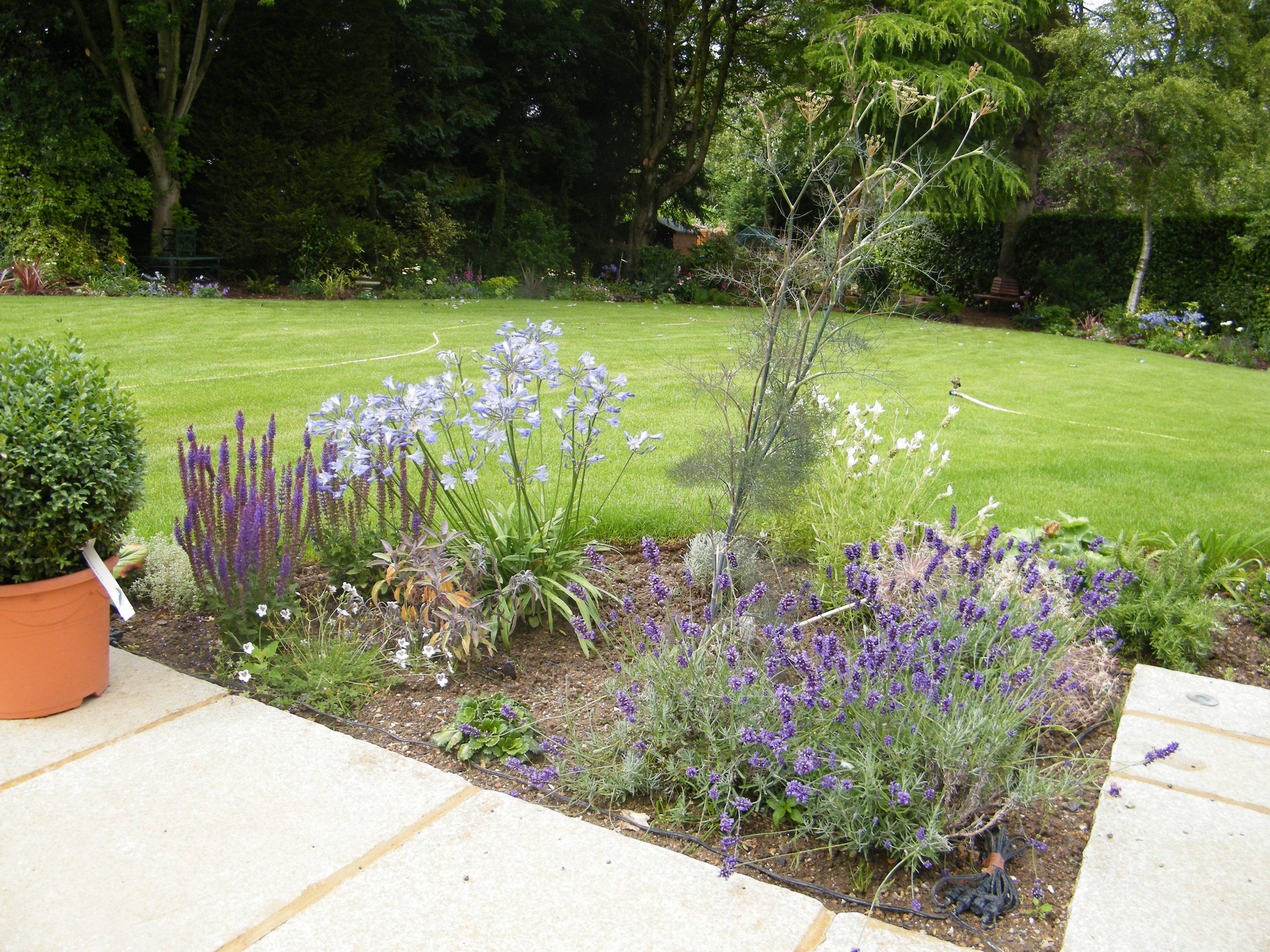 English Garden Ideas