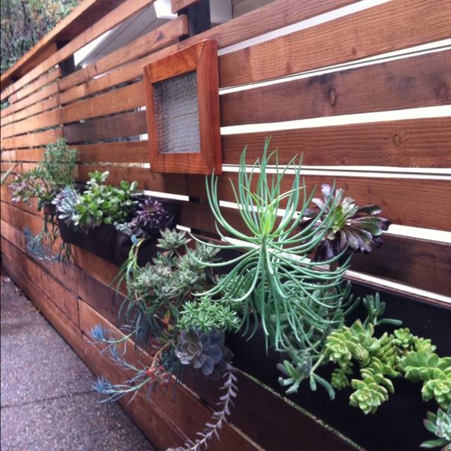 Wall Planter Ideas